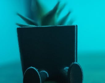 Leggy Planter