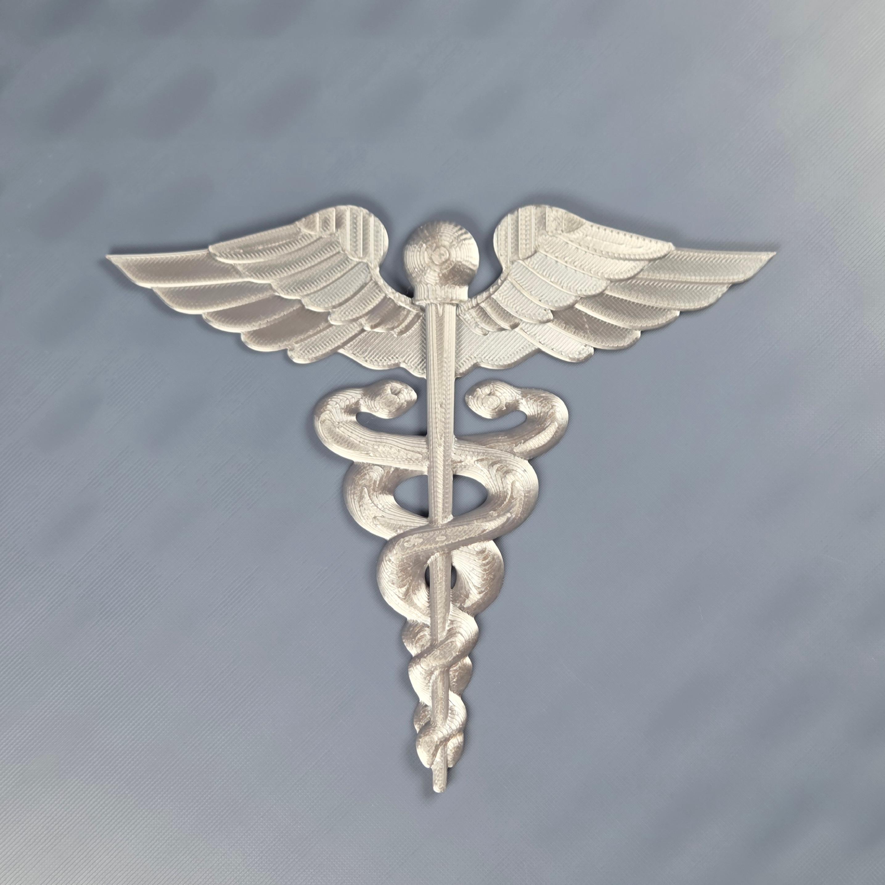 US Navy Hospital Corpsman HM Rating Badge 3D Printed - Etsy