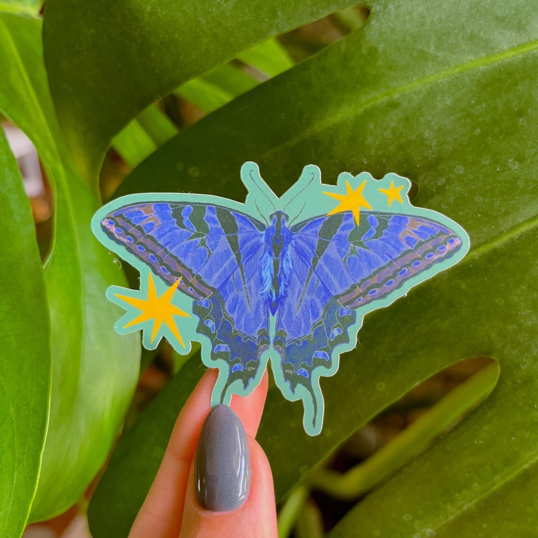 Blue Butterfly Sticker | Matte Vinyl, Laptop Decal - Etsy