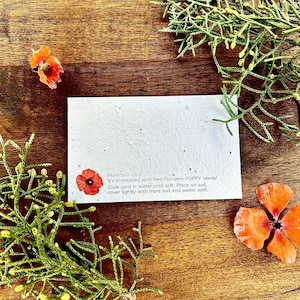 Marque-places en papier de graine à planter pour mariage, bricolage