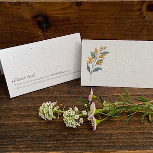 Cartões de lugar de papel com sementes plantáveis para casamento faça você mesmo