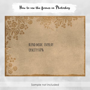 May include: A brown textured background with a floral design border. The text "BLEND MODE: OVERLAY" and "OPACITY 60%" is displayed in the center of the image. The text "Sample not included" is displayed at the bottom of the image.