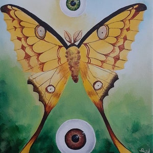 Peeper Creepers series pt.1 2/3 original surreal art moth & eyeballs acrylic painting on 8x10 canvas from LaurenHillDesigns.com image 1