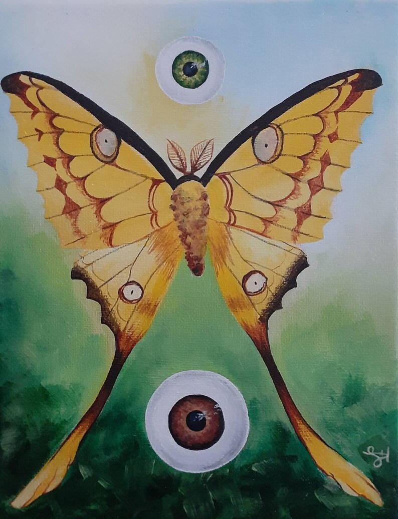 Peeper Creepers series pt.1 2/3 original surreal art moth & eyeballs acrylic painting on 8x10 canvas from LaurenHillDesigns.com image 1