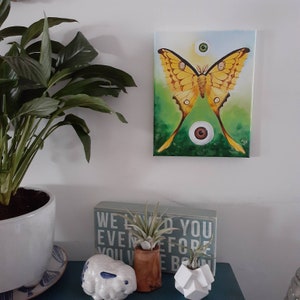 Peeper Creepers series pt.1 2/3 original surreal art moth & eyeballs acrylic painting on 8x10 canvas from LaurenHillDesigns.com image 3