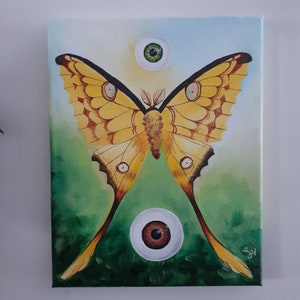 Peeper Creepers series pt.1 2/3 original surreal art moth & eyeballs acrylic painting on 8x10 canvas from LaurenHillDesigns.com image 4