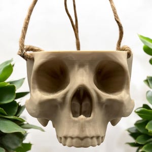 May include: A beige ceramic skull planter with a rope hanger. The skull has detailed features, including eye sockets, a nose, and teeth.