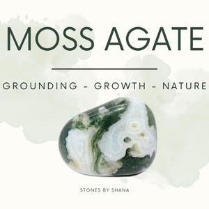 May include: A green and white moss agate stone with a smooth, polished surface. The stone is a natural crystal and is known for its grounding and growth properties. The text "MOSS AGATE" is at the top of the image, and the text "GROUNDING - GROWTH - NATURE" is below the stone. The text "STONES BY SHANA" is at the bottom of the image.