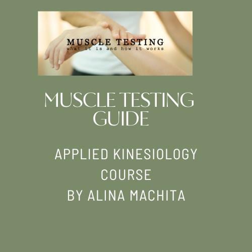 Applied Kinesiology Flowchart Manual 上下巻 Applied Kinesiology Flowchart Manual