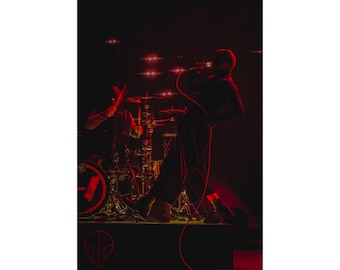 Twenty One Pilots poster, Josh Dun, Tyler Joseph, Concert Poster, Breach, Clancy, 12''x18''