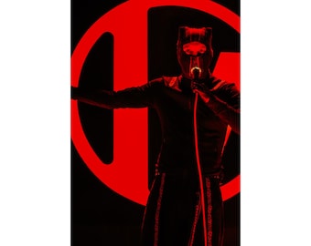 Twenty One Pilots poster, Josh Dun, Tyler Joseph, Concert Poster, Breach Tour, Clancy Tour, 12''x18''