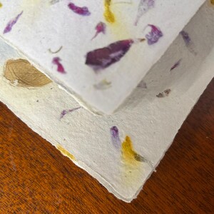 Handmade Assorted Dried Flower Paper Sheets [5 pack]