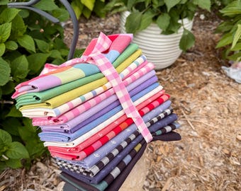 17 Telas para picnic / Telas Suzy Quilts para galerías de arte / Paquetes de cuartos de yarda y media yarda