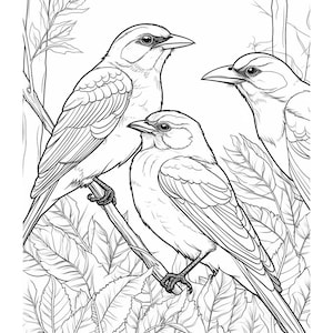 10 Bird pages Colouring Book for Children or Adults. Instant Digital Download. Print at Home