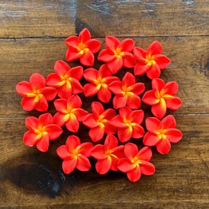 May include: A collection of 15 red and yellow plumeria flowers, also known as frangipani flowers, arranged in a circle on a wooden surface.