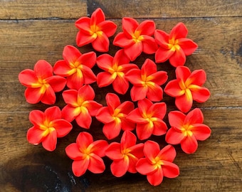 May include: A collection of 15 red and yellow plumeria flowers, also known as frangipani flowers, arranged in a circle on a wooden surface.