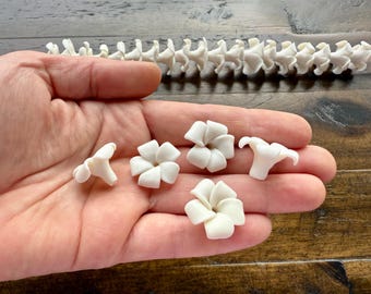 May include: A collection of white, miniature flower-shaped beads and a long, spine-like bead strand. The beads are held in a hand, showcasing their delicate details. The background is a wooden surface.
