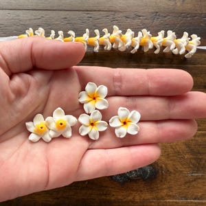 May include: A hand holds several white and yellow flower-shaped embellishments. A garland of similar flowers is visible above. The flowers have white petals with yellow centers and are likely for crafting or decoration.