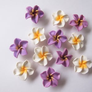 10 pcs Plumeria Frangipani Flower Polymer Clay Beads/Flatback 25mm