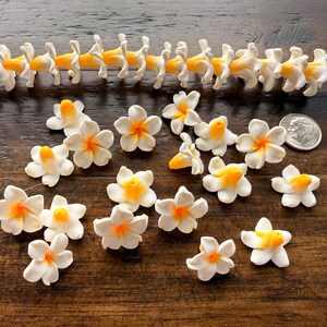 May include: A collection of white and yellow artificial flowers with orange centers. Some are arranged in a chain, while others are scattered. A US quarter is included for size reference. The flowers are on a dark wooden surface.