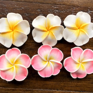 6 pcs Large Plumeria Frangipani Flower Polymer Clay Beads/Flatback 1.5”-Side hole