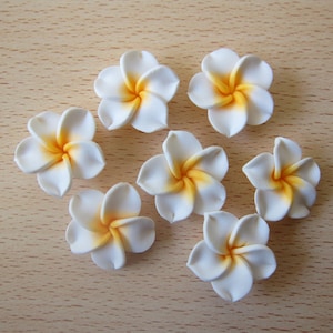 May include: Seven white plumeria flowers with yellow centers, arranged in a circle on a light brown wooden surface.