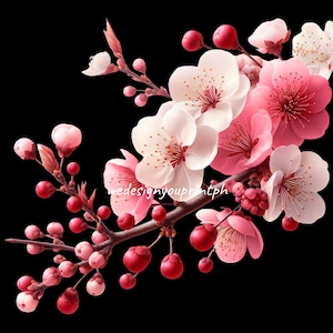 10 Cherry Blossom Clipart PNG Transparent, Spring Sakura Flower Branch Clip Art, Japanese Floral Art, Watercolor Blossom Printable Digital