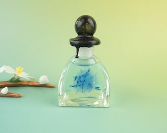 Blue Jellyfish Specimen in Vintage Transparent Square Ink Bottle, Marine Collection, Custom Jellyfish Quantity, Papua Jellyfish