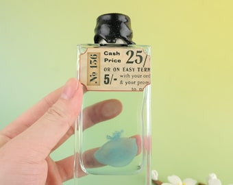 Jellyfish Specimen Blue, Marine Collection, Jellyfish In Vintage Bottles, Any Quantity To Choose