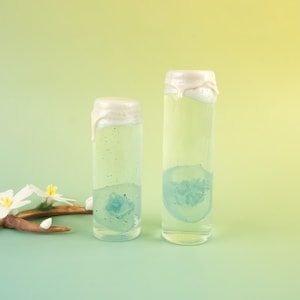 Blue Dancing Jellyfish Specimen, Marine Collection, Wet Specimen Of Jellyfish In A Simple Bottle, Immortality, Dead Jellyfish