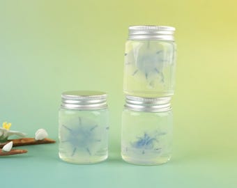Single Mastigias Papua Blue Jellyfish Real Specimen, Real Jellyfish, Immortal Jellyfish, No Maintenance Required, Spotted Jellyfish