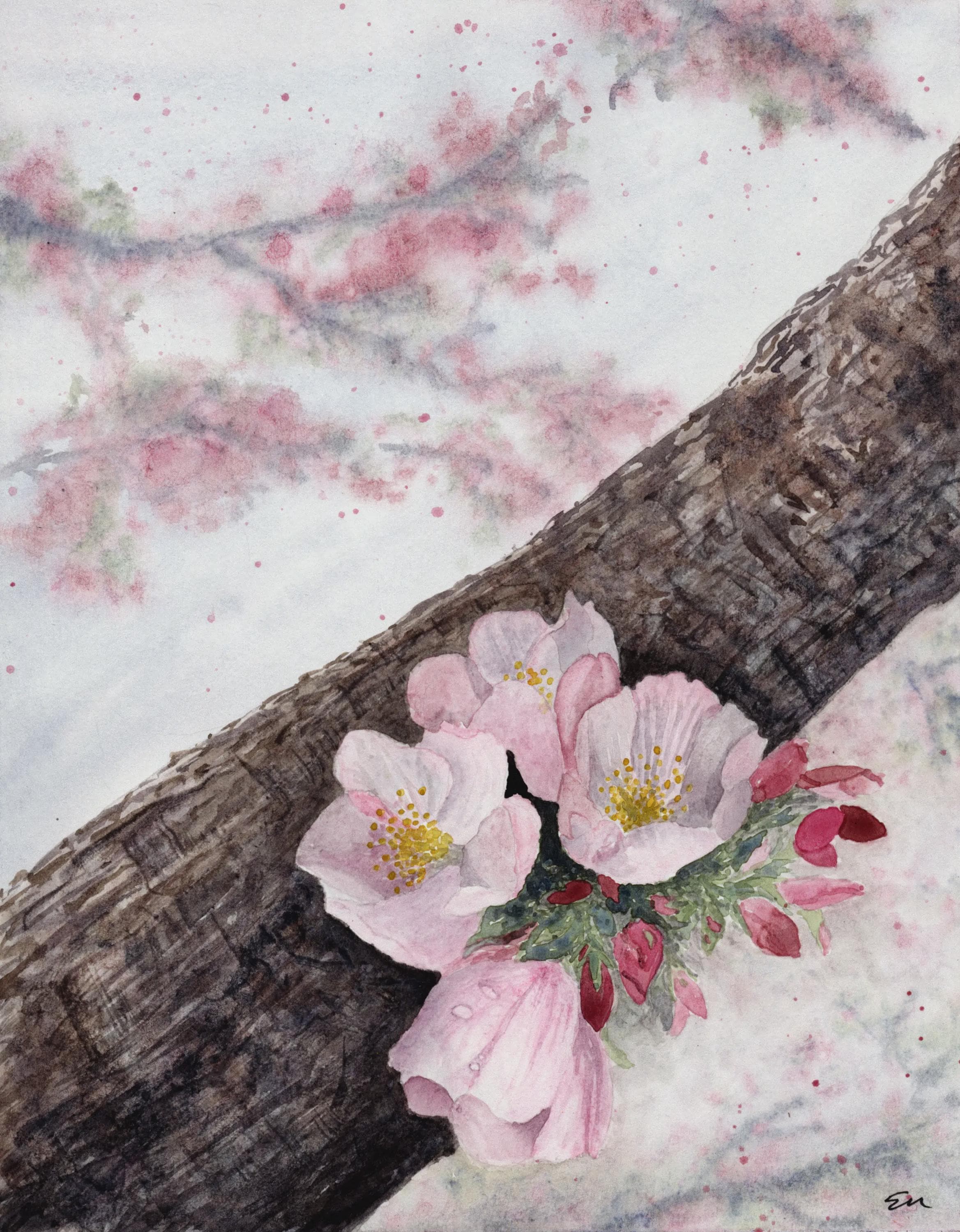 Original Japanese Watercolor Cherry Blossoms - Etsy