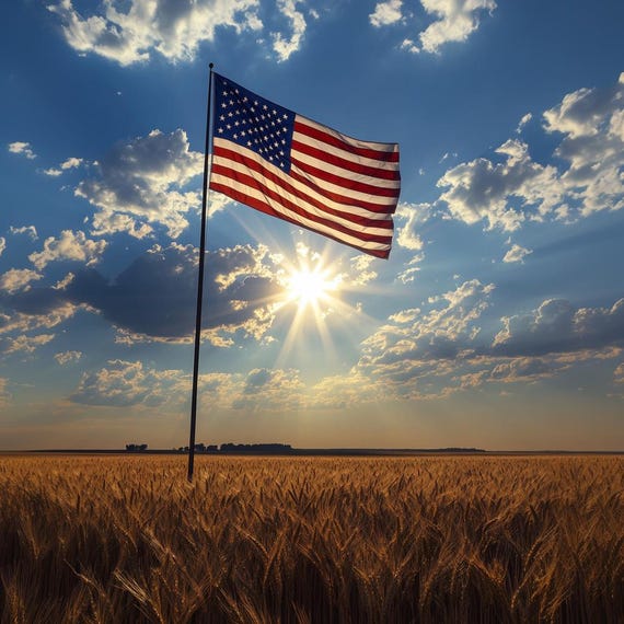 大版　古布　アメリカ国旗デザインの布　小麦袋 アメリカ国旗と小麦畑の夕焼けプリント：愛国的な農家風インテリア
