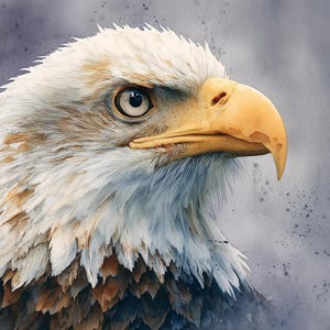 Bald Eagle Watercolor Art Print – Patriotic American Eagle Digital Download, Wildlife Wall Decor, USA Symbol Poster, Nature Watercolor Decor