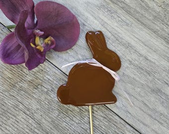Pflanzeneinsatz Schokoladenhase: Ostergarten Dekor