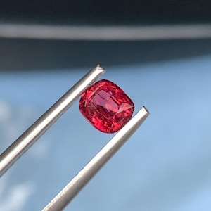 Op de afbeelding: Een levendige, kussengeslepen rode edelsteen vastgehouden door een zilverkleurige metalen pincet. De steen heeft een gefacetteerd oppervlak dat licht reflecteert en een diepe, verzadigde karmozijnrode tint toont met zichtbare interne helderheid.