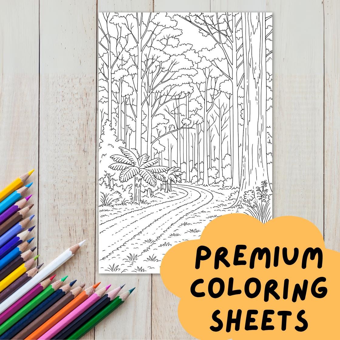Outback Coloring Australian Outback Coloring Pages: Road Trip Art (21 Page PDF Digital ...