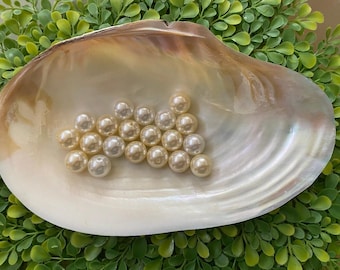 Mother of Pearl Shell With Freshwater Pearls (5 Inch/13cm+), E084