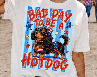 4th of July Hotdog PNG, Patriotic Dachshund Sublimation Design (Digital Download)