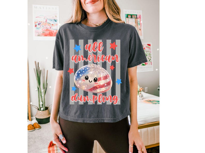 May include: Dark gray t-shirt with the text "all american dumpling" in red script. The shirt features a cartoon dumpling with an American flag design. Red and blue stars are scattered around the text and dumpling.