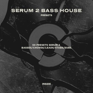 May include: A grayscale graphic with the text "SERUM 2 BASS HOUSE" and "PRESETS." Below, it reads "50 PRESETS SERUM 2 BASSES/CHORDS/LEADS/STABS/SUBS" and "INSIDE." The design resembles a shattered vinyl record.