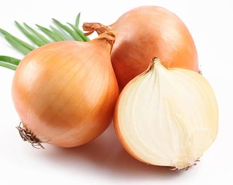 250 treated Vidalia sweet onion seeds non-gmo heirloom