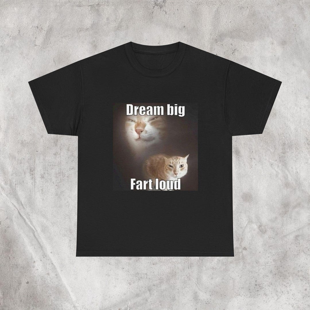 Funny Cat Tee, Dream Big Fart Loud Shirt, Funny Cat Brainrot Meme Tee ...