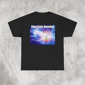 Flow State Reached tee, Genz Humor tee, Brainrot Reached Flow State Funny Tee, Genz brainrot Tee, Viral Funny Genz Tee, Gift For Genz