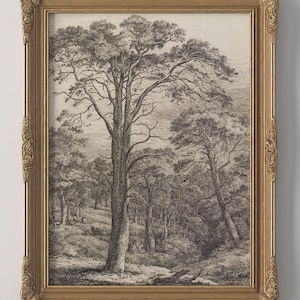 PRINTED Vintage Tree Wall Art Antique Landscape Print Neutral Nature Artwork Classic Home Decor Old World Cottagecore Wall Art VPI-61