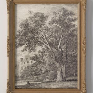 PRINTED Vintage Tree Farmhouse Wall Art Antique Tree Print Old World Landscape Art Neutral Wall Decor Classic Home Decor Earth Tone VPI-60