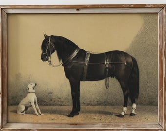 PRINTED Vintage Horse Print Antique Equestrian Wall Art Rustic Farmhouse Animal Decor Western Horse Painting Country VPR-10