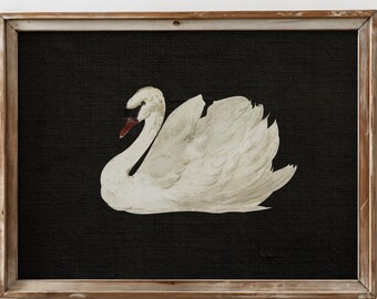 PRINTED Black Swan Art Print Vintage Black Swan Antique Swan Illustration Dark Cottagecore Wall Decor Rustic Farmhouse Animal Artwork VPJ-07