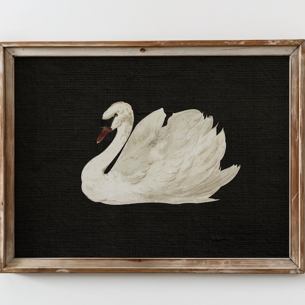 PRINTED Black Swan Art Print Vintage Black Swan Antique Swan Illustration Dark Cottagecore Wall Decor Rustic Farmhouse Animal Artwork VPJ-07