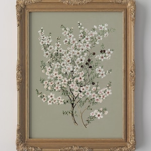 May include: A framed botanical print featuring a flowering tree with white blossoms and dark berries against a muted green background. The ornate gold frame adds a vintage aesthetic. A decorative piece for home decor.
